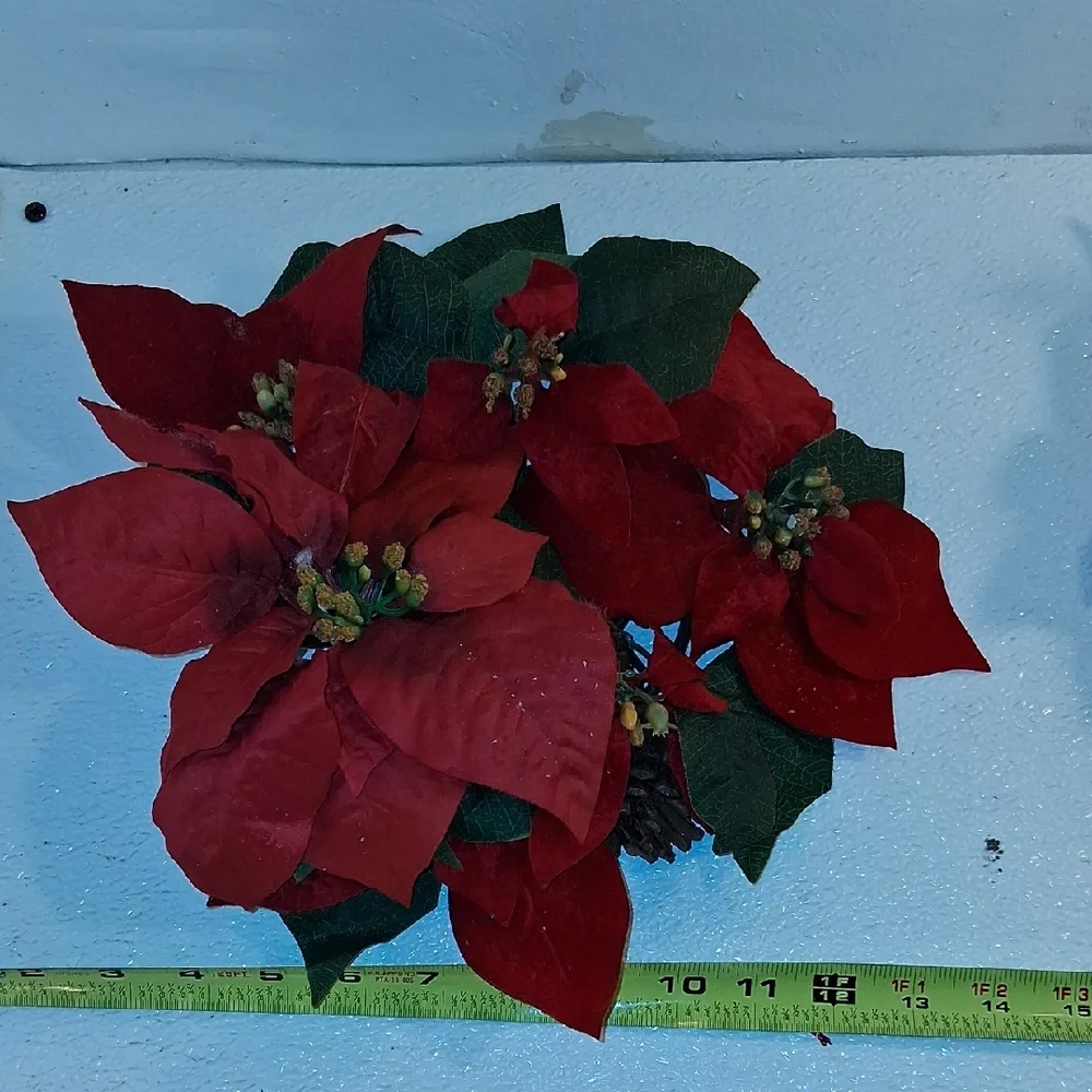 Festive Red Poinsettia Holiday Foliage 2